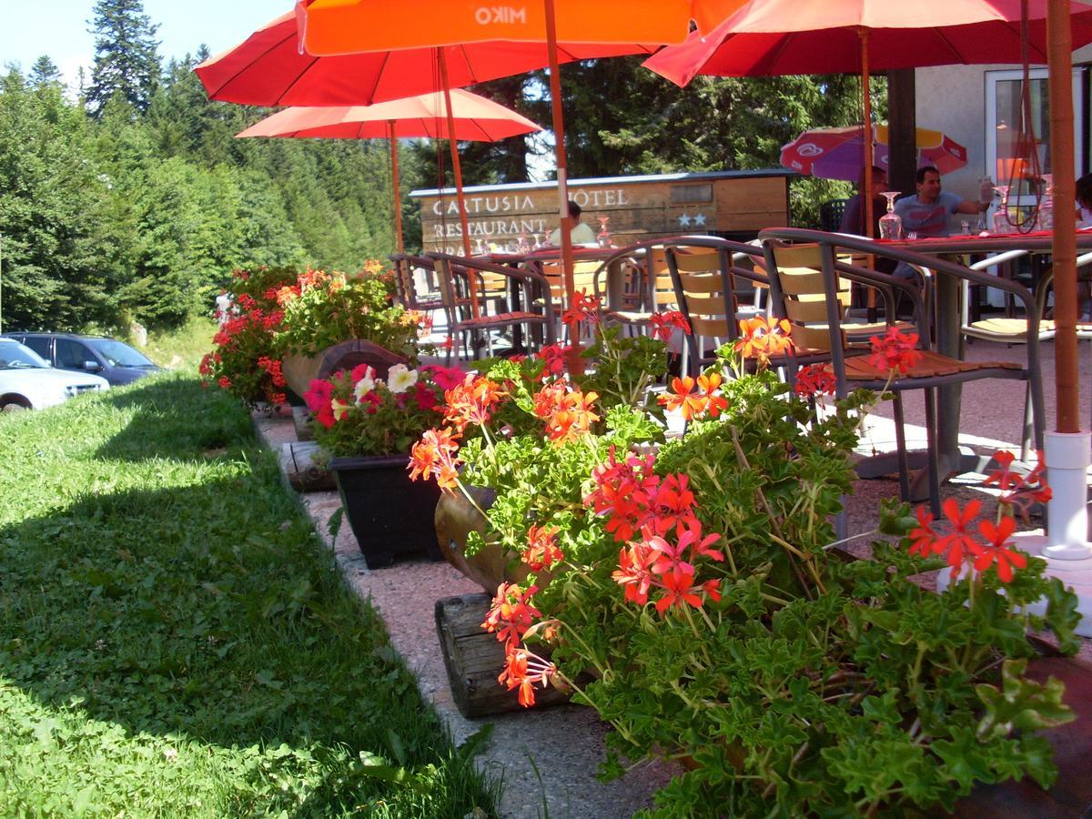 Hotel Cartusia Sarcenas Εξωτερικό φωτογραφία